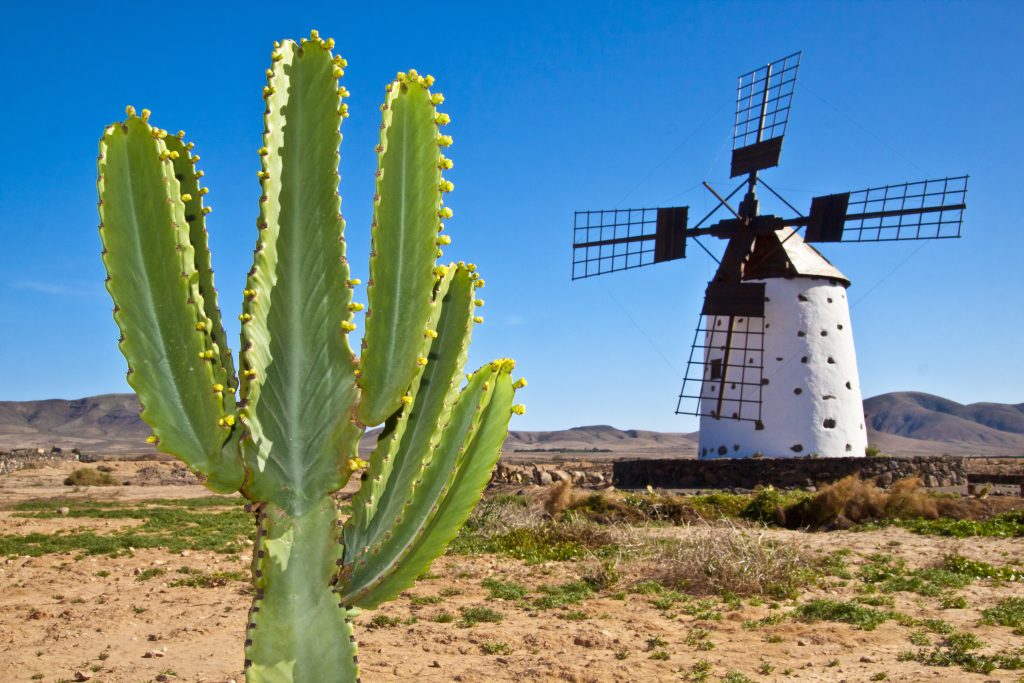 Isola di Fuerteventura