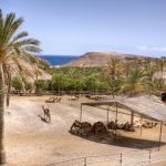 Oasis Park Fuerteventura