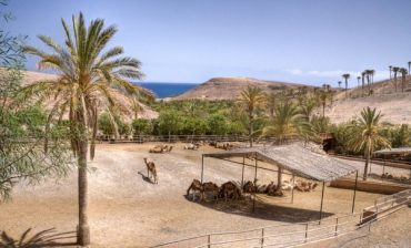 Oasis Park Fuerteventura