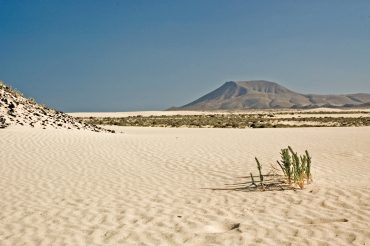 Parco Naturale delle Dune Corralejo Fuerteventura