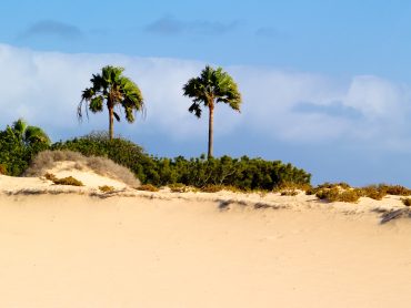 Parco Naturale delle Dune Corralejo Fuerteventura